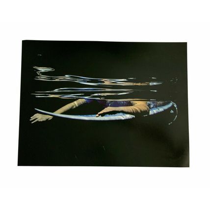 Large Wall Art Print “ Gliding Through “by Rachel Fearnley, 50cm x 40cm