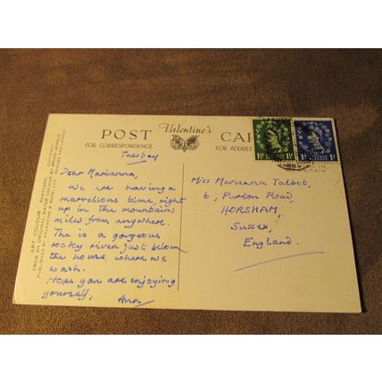1950s Postcard - Rheidol Valley, Devils Bridge Nr Aberystwyth - Artist A537