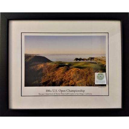 108th U S OPEN CHAMPIONSHIP FRAMED GOLF COURSE PHOTO 3rd HOLE TORREY PINES SD CA