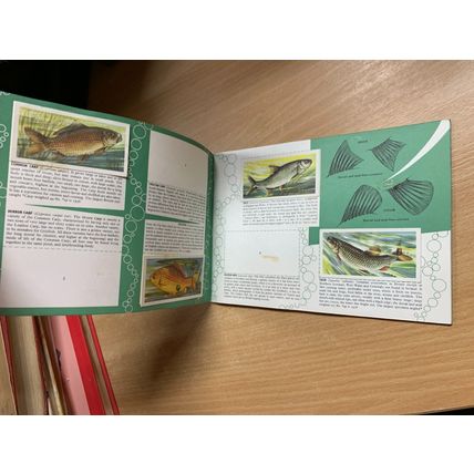 VINTAGE BROOKE BOND FRESHWATER FISH ALBUM BOOK *INCOMPLETE* (P2)