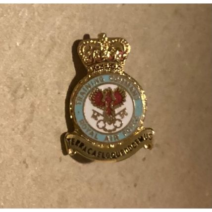 TRAINING COMMAND Royal Air Force - Enamel Badge