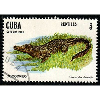 Cuba 1982 Reptiles 3c Used Stamp.