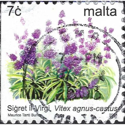 MALTA, FLOWER, Virgin Bush, Vitex agnus-castus, white 2003, 7c, #5