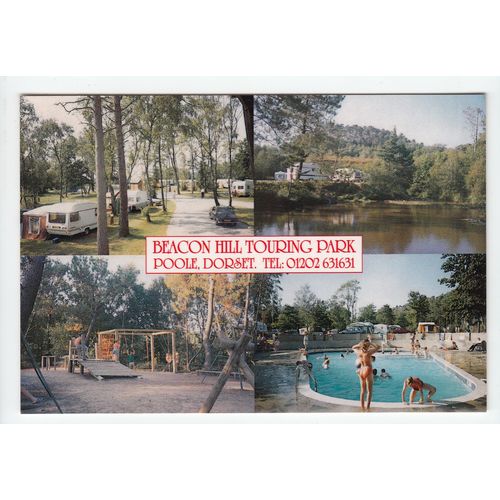 Caravan & Camping Beacon Hill Touring Park Poole Dorset Postcard