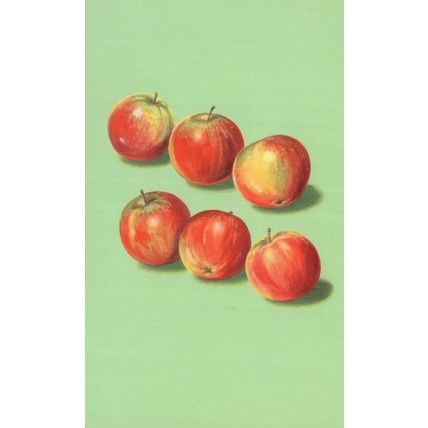 Bunch Of Apples Fruit Childrens Old Ladybird Book Postcard