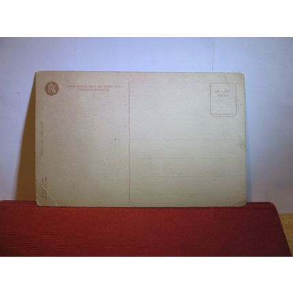 RAIN OR SHINE? by Clarence F Underwood unused antique American postcard art #
