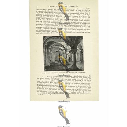 Crypt, Bow Church, London, England, Book Illustration (Print), 1891