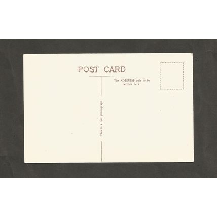 Postcard Little Switzerland Newport Monmouthshire