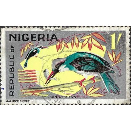 NIGERIA, BIRD, Blue-breasted Kingfisher. Halcyon malimbica, grey 1966, 1s