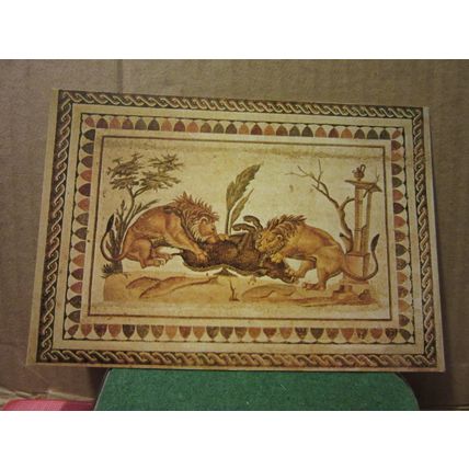 LIONS, MOSAIQUE D'EL JEM, TUNISIA unused postcard =