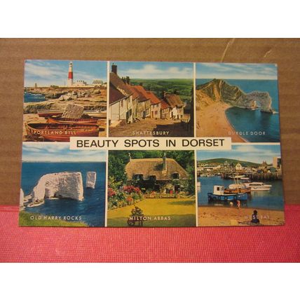 BEAUTY SPOTS OF DORSET county multiview used postcard by J. Salmon 1985 pm #