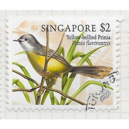 SINGAPORE 1998 SONGBIRDS YELLOW BELLIED PRINIA USED $2 BIRD CDS