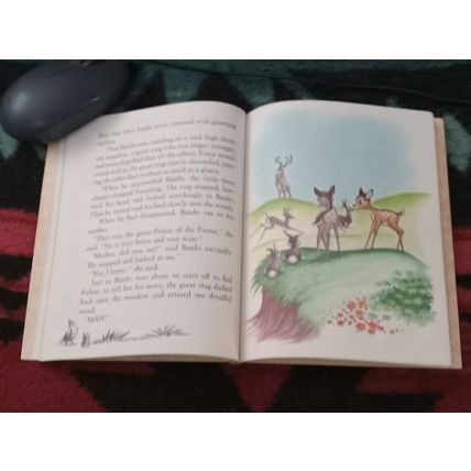 Old Little Golden Book Walt Disney Bambi (C) Edition 1948