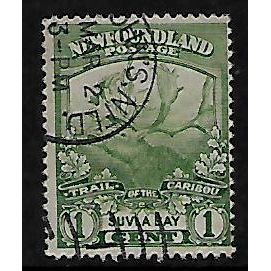 NEWFOUNDLAND 1919 1c GREEN REINDEER SG 130 FINE USED