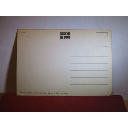 MARE WITH HER FOAL, HORSES unused postcard by John Hindes =