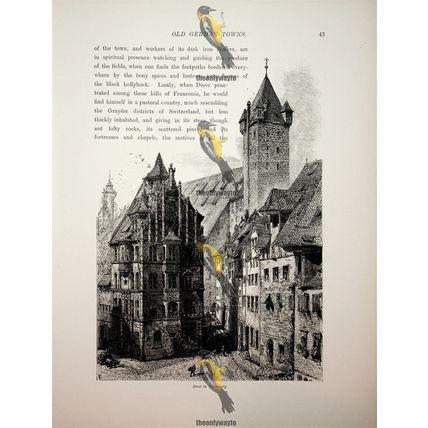 Nuremburg, Typical Street, Germany, Book Illustration (Print), c1875