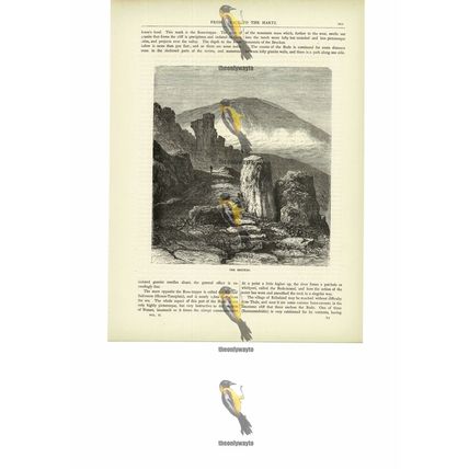 Brocken (Blocksberg), Hartz (Harz), Germany, Book Illustration (Print), c1880