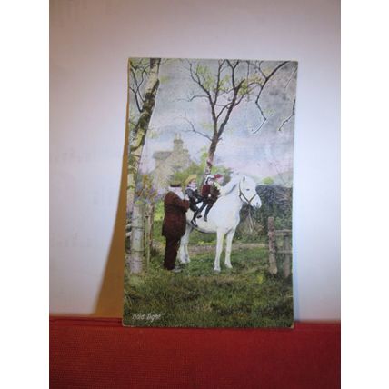 'HOLD TIGHT', CHILDREN ON WHITE WELSH PONY used antique postcard by J.W.D. =