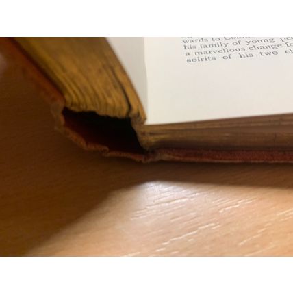 RARE* 1880s MARY & CATHERINE LEE "ROSAMOND FANE" FICTION ANTIQUE BOOK (P4)