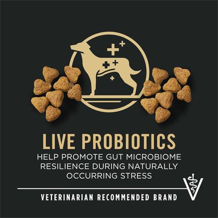 Purina Pro Plan High Protein Dog Food, Small Bites, SPORT 27/17 Lamb and Rice Fo