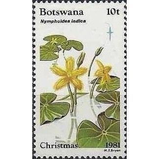 Botswana 1981 Christmas 10t Nymphoides Indica Unmounted Mint NHM SG 504 stamp