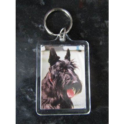 DOG BREED KEY RINGS QUALITY ACRYLIC DOUBLE SIDED PHOTO KEY RINGS 33 BREEDS