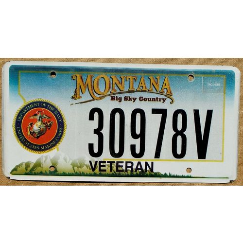 NAVY VETERAN 2010 MONTANA License Plate #30978V