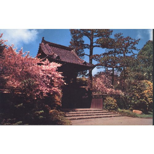 USA Postcard - Oriental Tea Garden, San Francisco, California