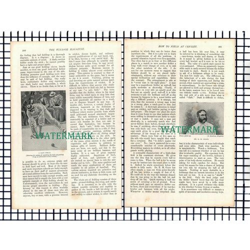 (5924) Cricket Prince Ranjitsinhji - c.1900 Article