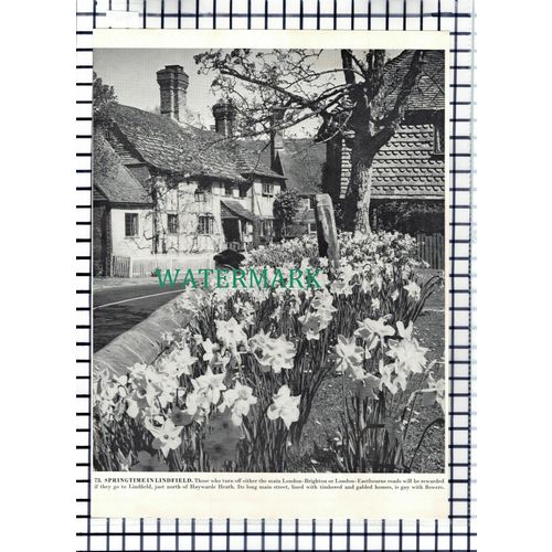(7764) Lindfield Sussex / Shipley Smock Mill - 1960s Book Print