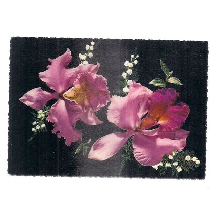 PINK FLOWERS ..used vintage postcard NOT POSTED =