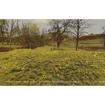 View From Old Mill Church Houses Farndale Yorkshire 1960s Mint Postcard