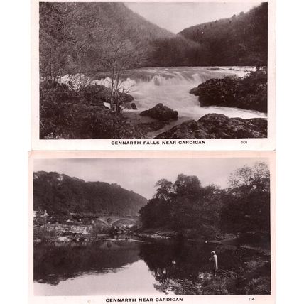 Cennarth Falls Near Cardigan 2x Real Photo Postcard s