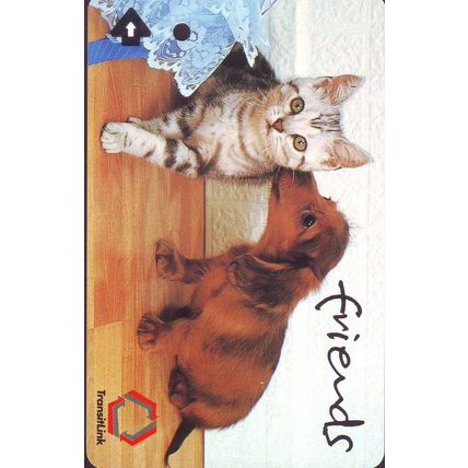 Friends~Dog Kissing Cat S'pore Transitlink Bus/Train Card