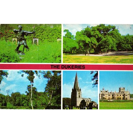 Postcard The Dukeries, Nottinghamshire. Multiview. Unposted