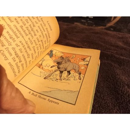 Big Little Book Lassie Adventure In Alaska By George S Elrick 4.0 VG Shape 1968