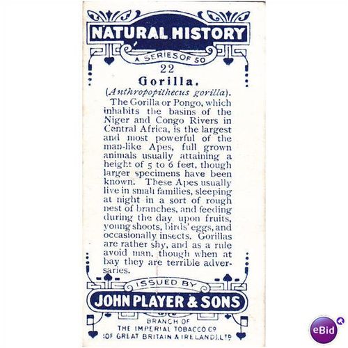 Players Natural History Card No. 22 Gorilla