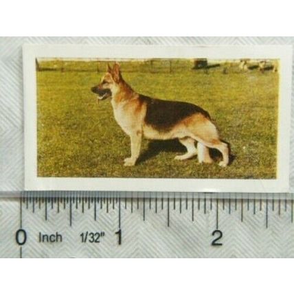 1961 Hornimans Tea Dogs No. 26 Alsatian, German Shepherd