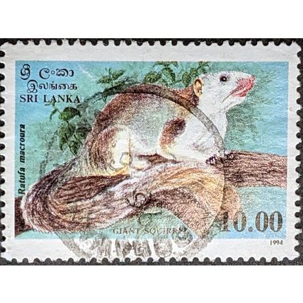 STAMP Sri Lanka SG1277 1994 10R Giant Squirrel Used