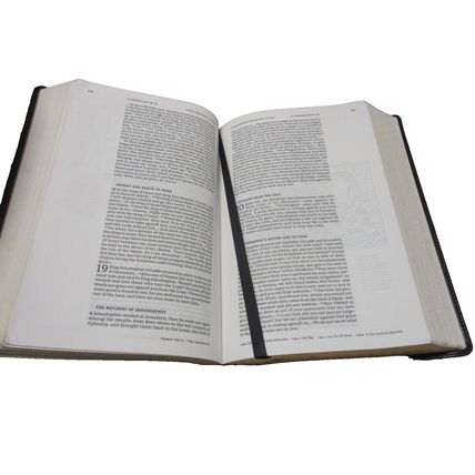 NRSVCE Illustrated Catholic Bible, Leathersoft, Black, Comfort Print Holy Bible