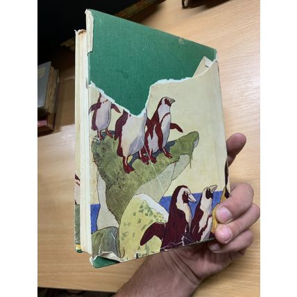 VINTAGE DANIEL DEFOE THE ADVENTURES OF ROBINSON CRUSOE ILLUSTRATED BOOK (P4) AA