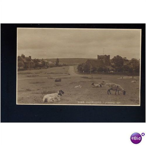 Yorkshire GOATHLAND Postcard by Judges (6388)