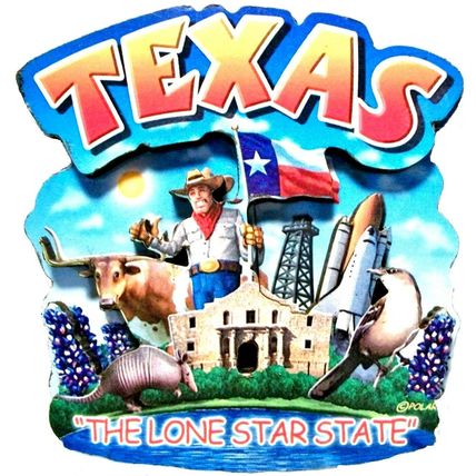 Texas The Lone Star State Artwood Montage Fridge Magnet