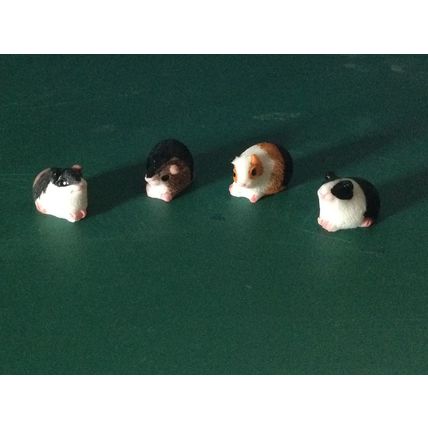 Guinea Pig Assorted Colours 1:12th Dolls House Miniature