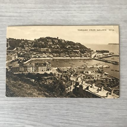 Torquay from Walden Hill Valentines Series Gravure POSTCARD Unused