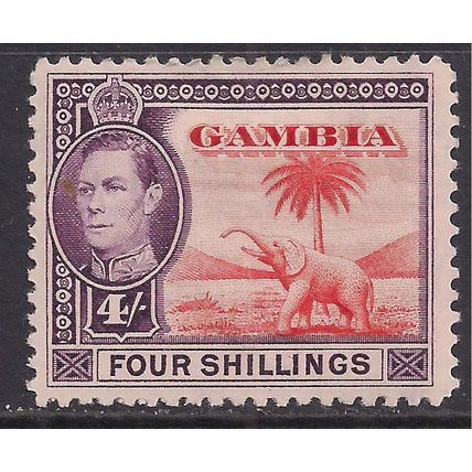 Gambia 1938 - 46 KGV1 4/-d Elephant MM SG 159 ( H1491 )