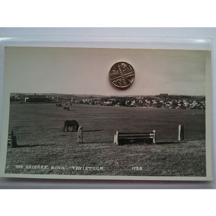 Tavistock- Cricket Ring Dartmoor postcard by Ruth