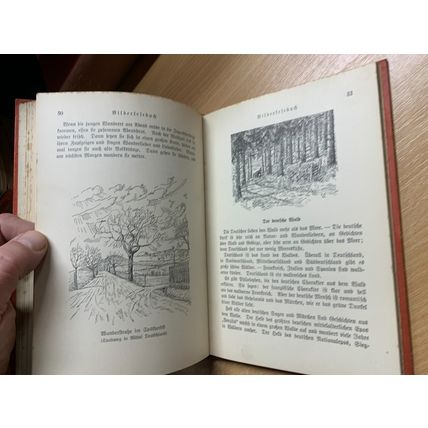 RARE* 1939 "BILDERLEFEBUCH" OTTO KOISCHWITZ GERMAN HARDBACK BOOK (P3)