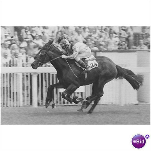PRESS PHOTO GAY SAHIB Geoff Baxter LINGFIELD PARK 1975