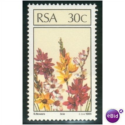 South Africa 1985 - SG 588 - 30c Ixia MNH